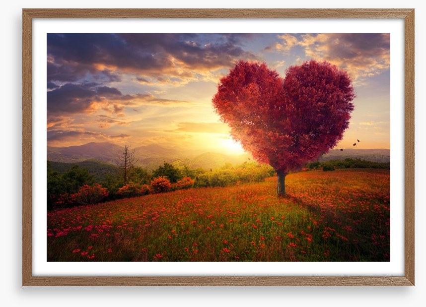 Meadow with the love heart tree