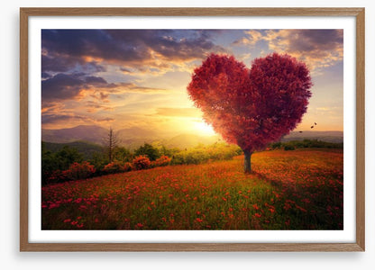 Meadow with the love heart tree
