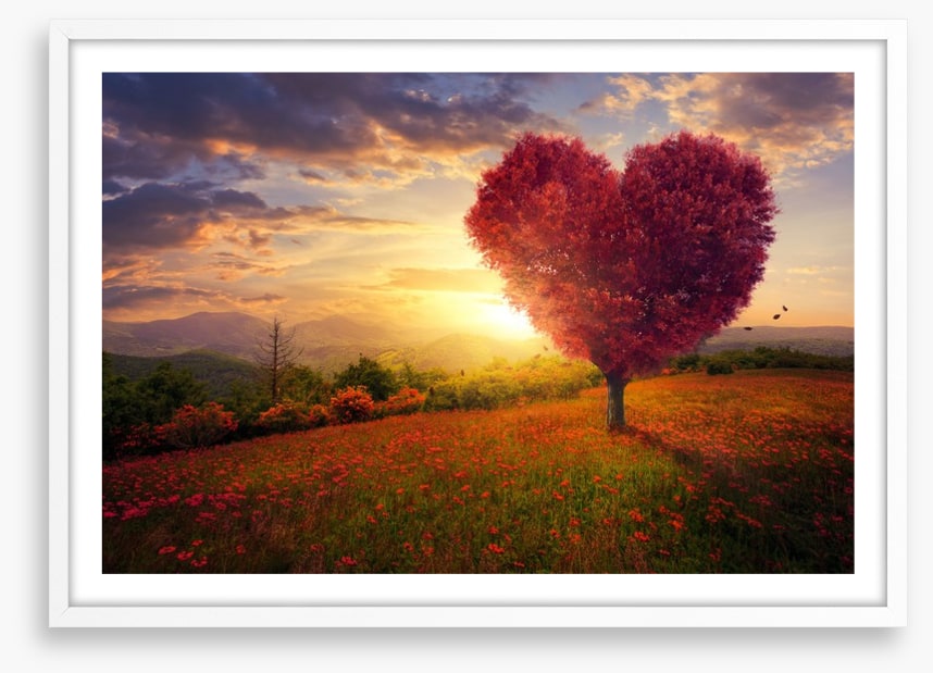 Meadow with the love heart tree