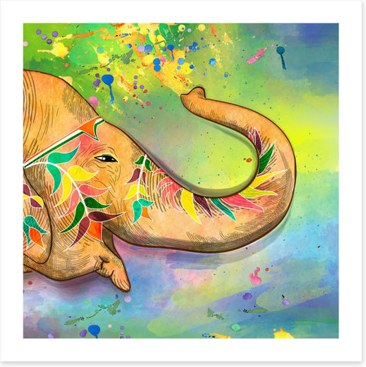 The elephant of Holi