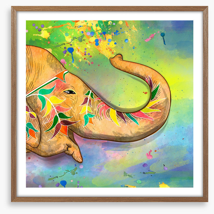 The elephant of Holi