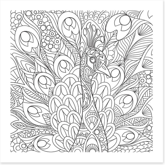 Colour me peacock