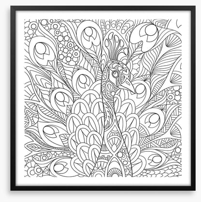 Colour me peacock