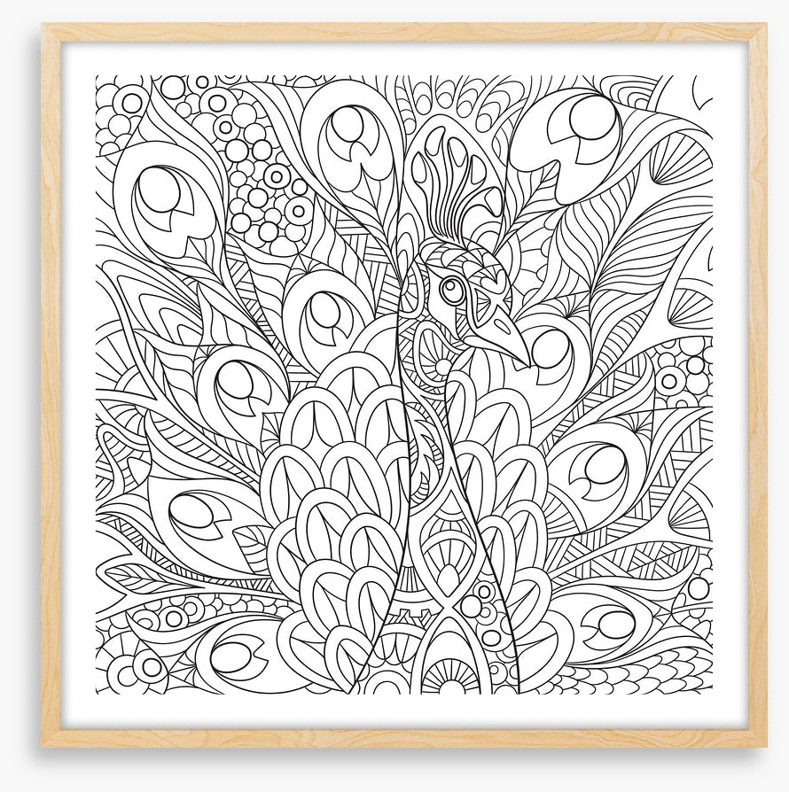 Colour me peacock