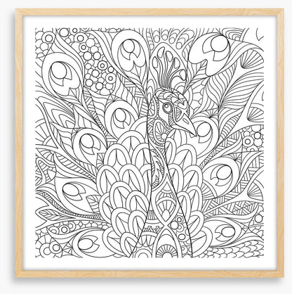 Colour me peacock