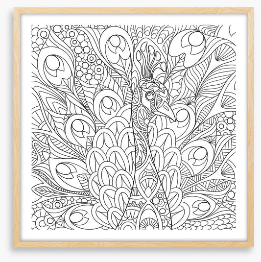 Colour me peacock
