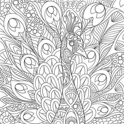Colour me peacock