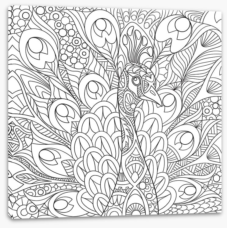 Colour me peacock