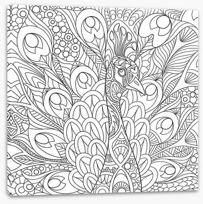 Colour me peacock