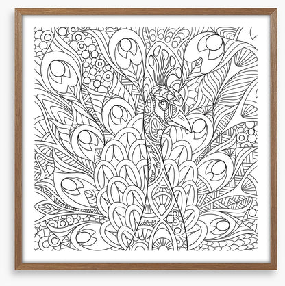 Colour me peacock