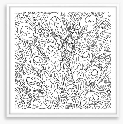 Colour me peacock