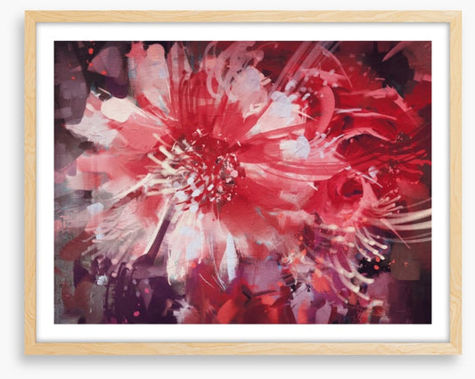 Bloom
