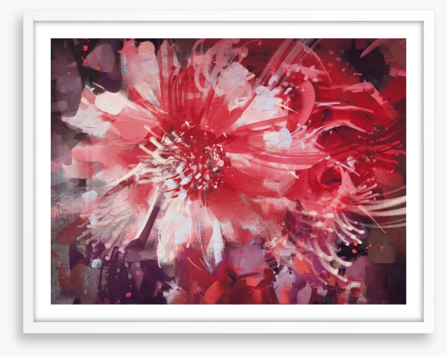 Bloom