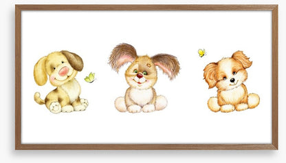Three puppies