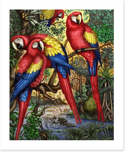 Birds