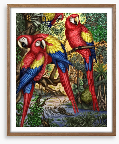 Birds