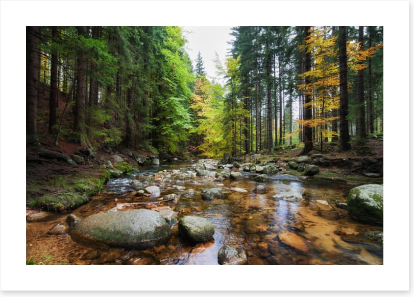 Rocks in the river