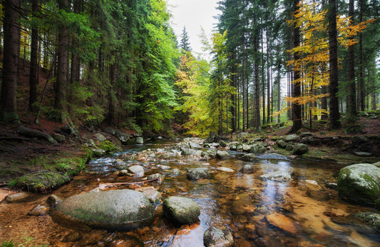 Rocks in the river