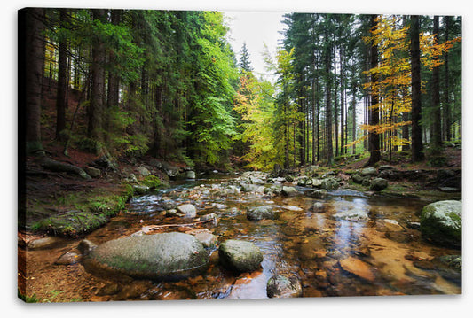Rocks in the river