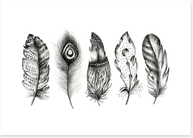 Monochrome quills