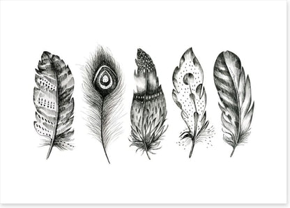 Monochrome quills
