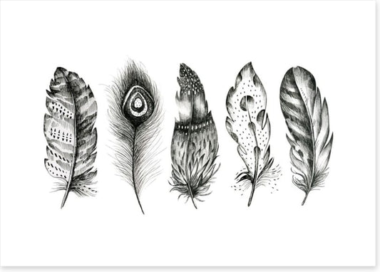 Monochrome quills