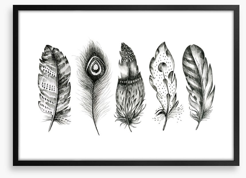 Monochrome quills