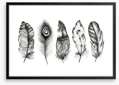 Monochrome quills