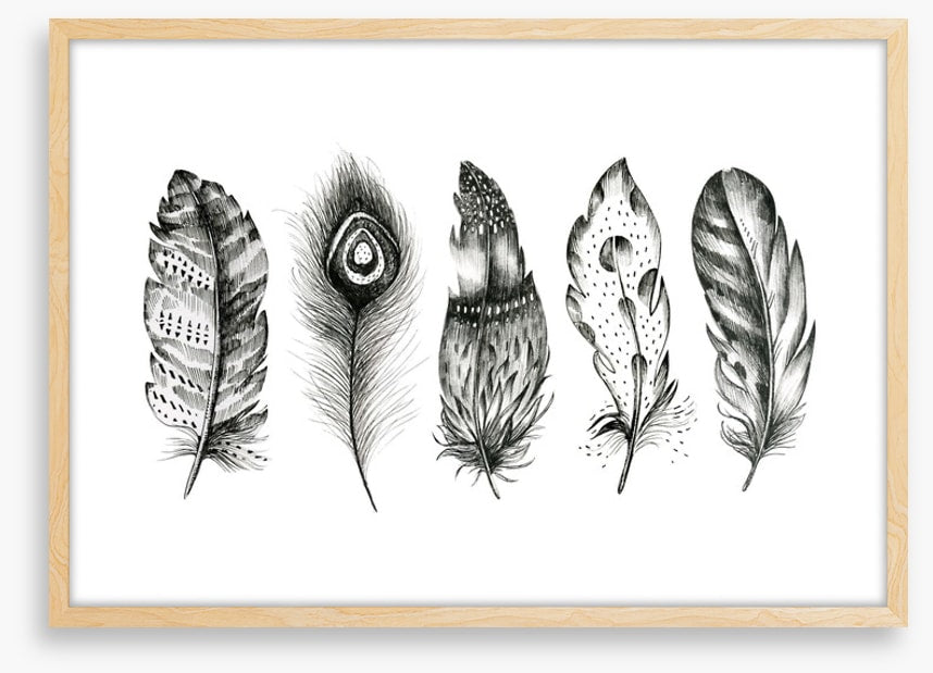 Monochrome quills