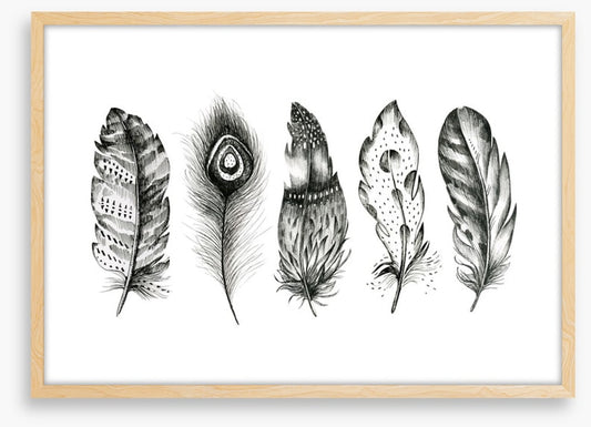 Monochrome quills