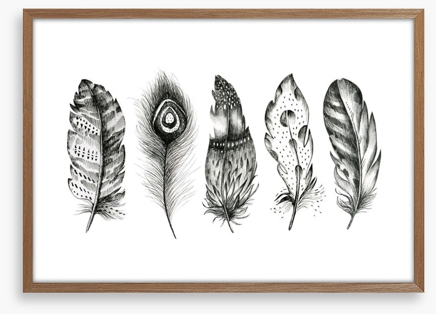 Monochrome quills