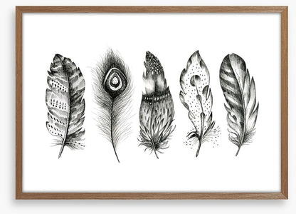 Monochrome quills