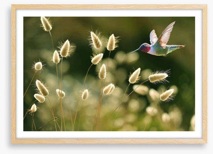 Midsummer flight