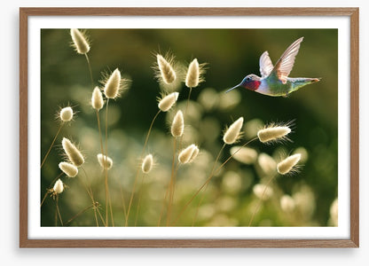 Midsummer flight