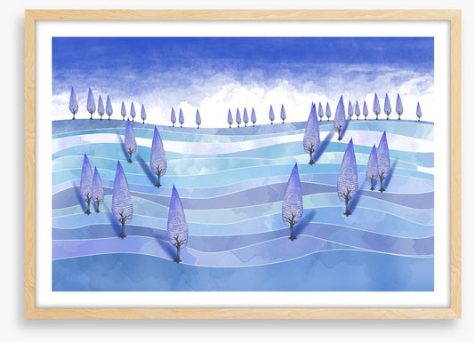 Trees of the sea