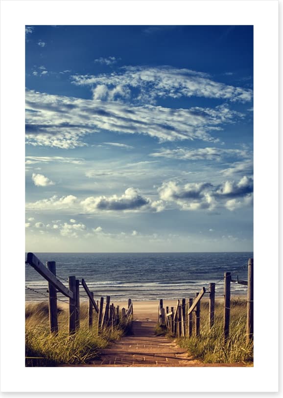 Path to peace