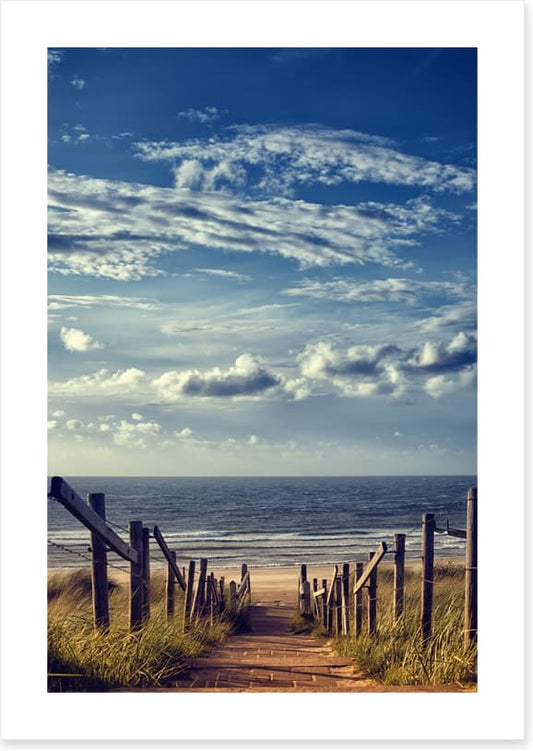 Path to peace