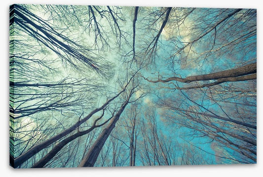 Skeleton forest