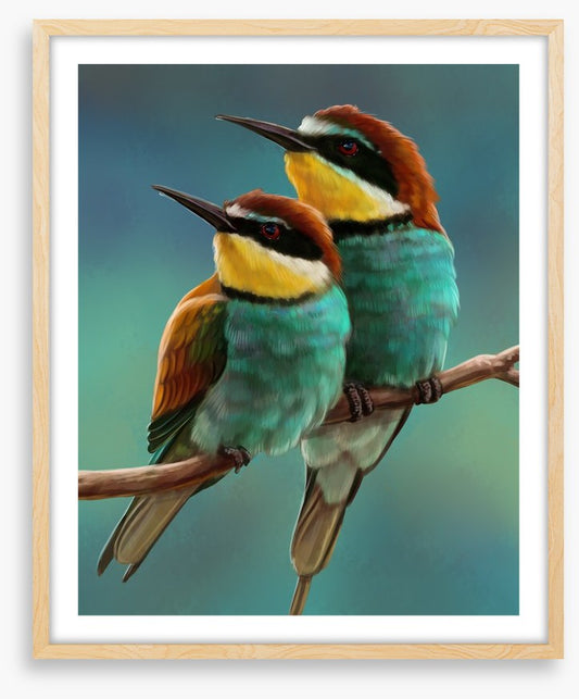 Bee-eater beauty