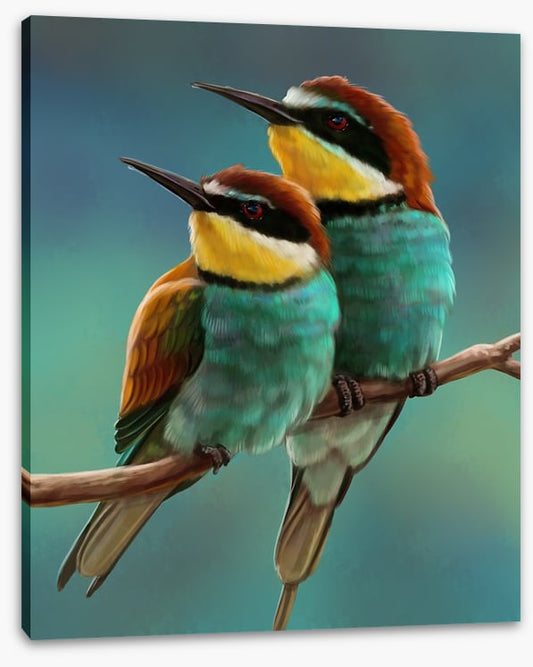 Bee-eater beauty