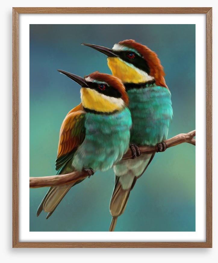 Bee-eater beauty