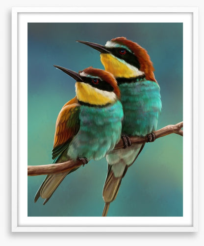 Bee-eater beauty