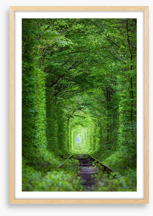 The Tunnel of Love, Ukraine