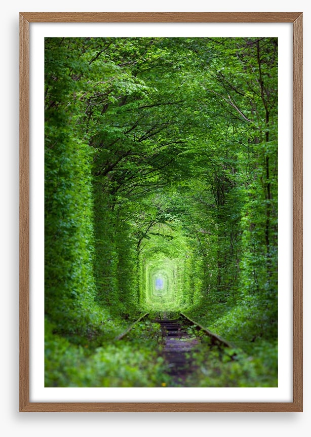The Tunnel of Love, Ukraine