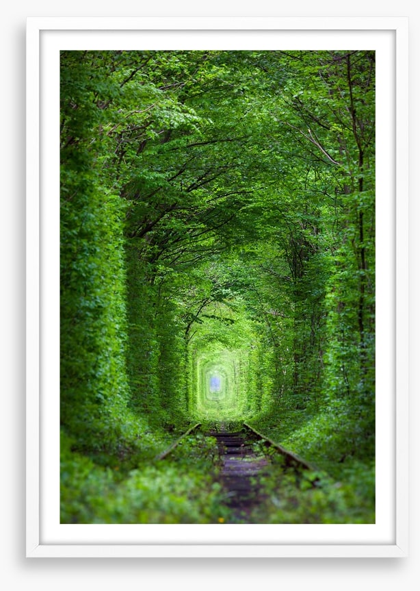 The Tunnel of Love, Ukraine