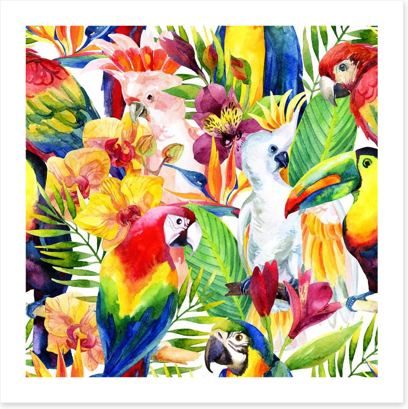 Colourful parrots
