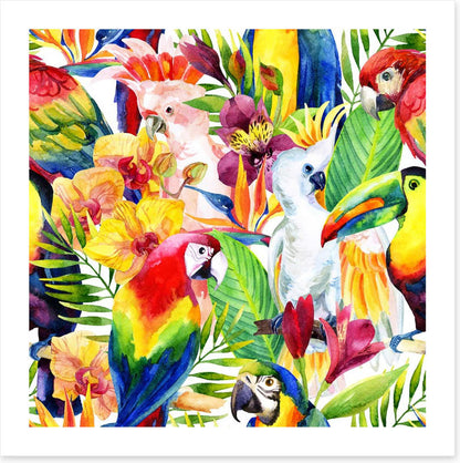 Colourful parrots