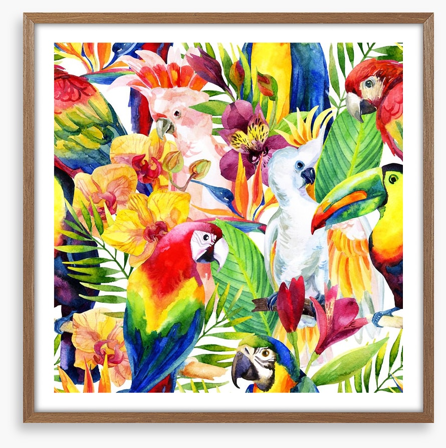 Colourful parrots