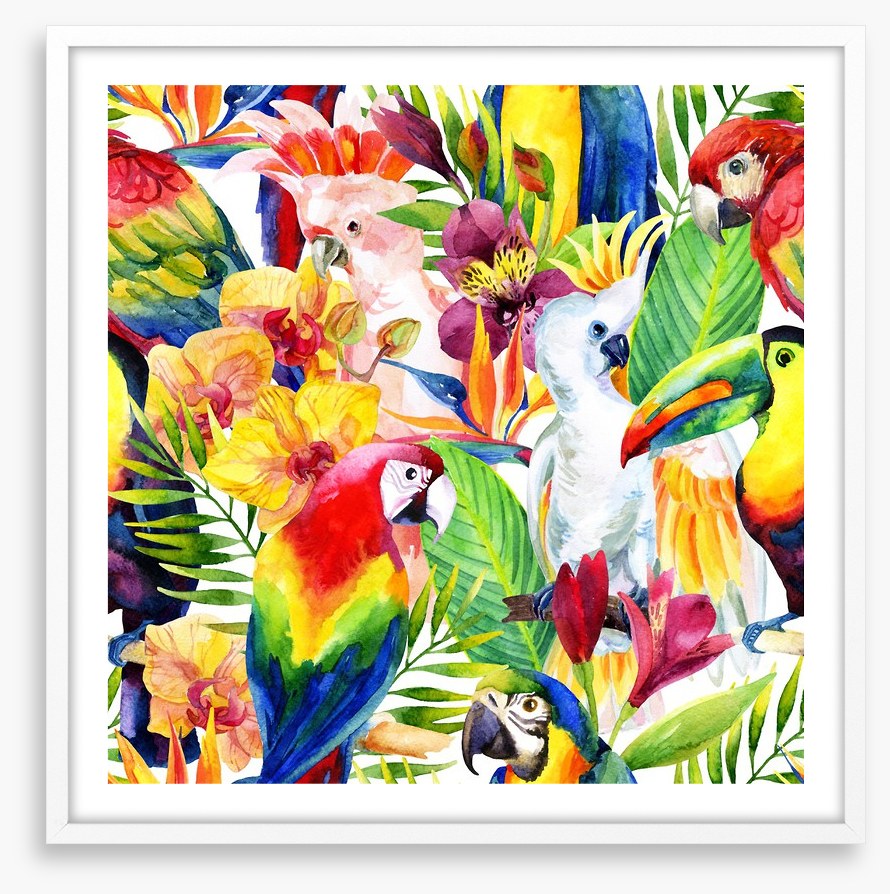 Colourful parrots