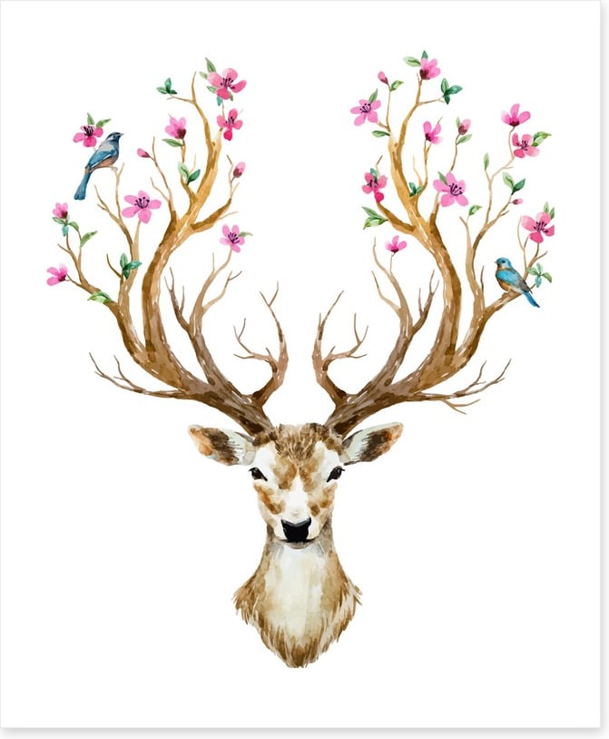 Spring deer